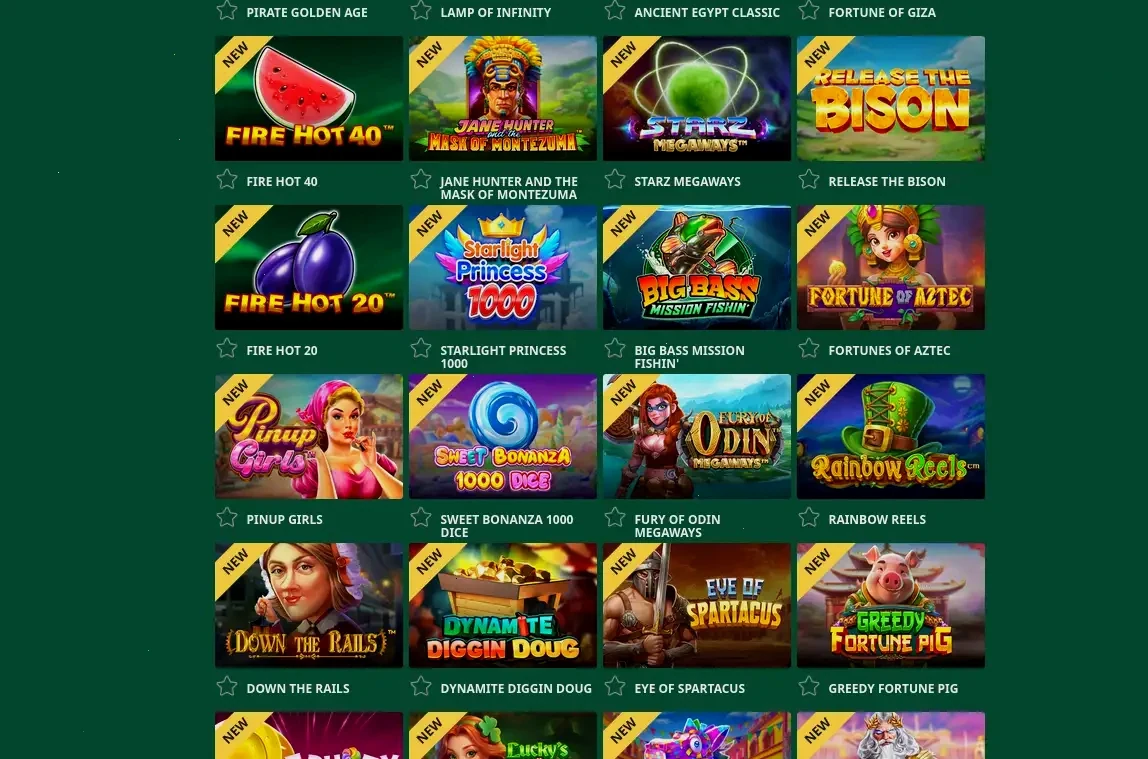 Datenschutz und Sicherheit bei Vikingluck Casino
